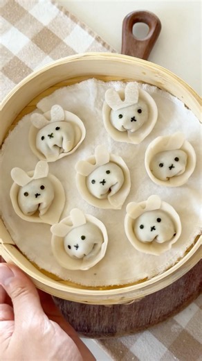 Making Miffy Veggie Dumplings 🥟