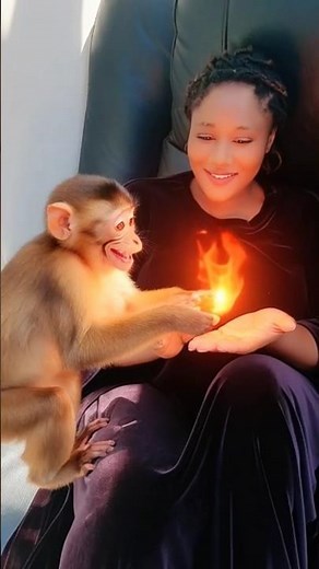 Me & My Fire Monkey – Unstoppable Energy!