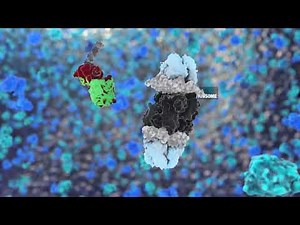 Ubiquitin Proteasome System & Hybrigenics Pharma USP Inhibitors