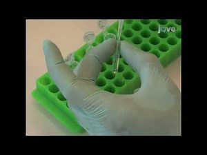 Basophil Activation Test for assessing IgE-mediated responses in drug hypersensitivity