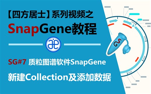 【四方居士】SG#7质粒图谱软件Snapgene新建Collection及添加数据