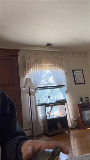 Good morning 💚🐢 #sergioturtle | Kenny James