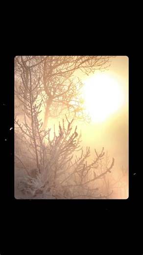 A Gathering of Making, Feasting, and Rekindling the Light The word solstice means “sun stands still.” In the spirit of what can imaginally open in a momentary pause, we invite you to join us for a gathering evoking the half-forgotten memories of how ancestors celebrated the promise of the returning light on the year’s darkest day. Come take a moment of breath in a frantic world, come welcome the light, and belong. Just 20 people. A co-created overnight adventure. With extraordinary chef-made fea