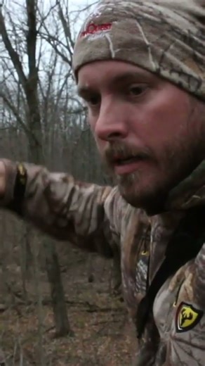 Buck taken with trad gear!