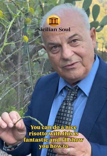 The green gold of Sicilian villages. ♥️ But how do you use wild asparagus and where can you find it? Let’s discover it together on this journey through Sicilian nature and gastronomy. #Sicilia #Sicily #borghisiciliani #asparago #wildasparagus
