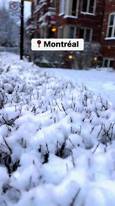 109K views · 1.9K reactions | Les Français qui vivent au Québec on Reels | Facebook