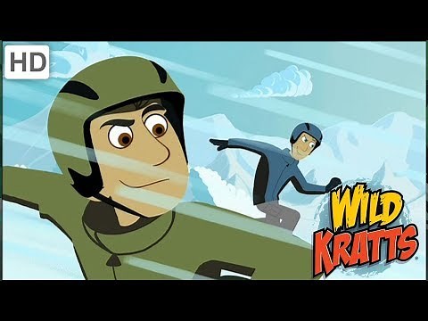 Wild Kratts - Awesome Winter Adventures