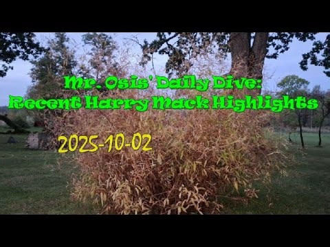 (2025-10-02) Mr. Osis' Daily Dive: Recent Harry Mack Highlights