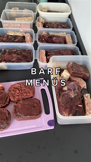 Essentials der BARF Ernährung für Hunde