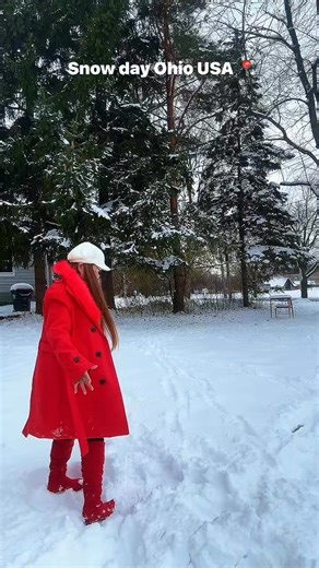 #snow #everyonehighlightsfollowers #viewersfriendsfollowers #November #snowday #snowfall #blessedandgrateful #coldweather #snowfall #snow | Sunshine G. Kimmie