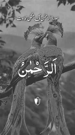 Surah yasin ( Yaseen ) سورۃ یٰسین complete ♥️😊listen end heal your soul
