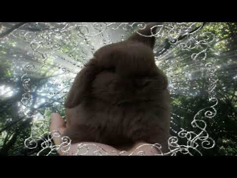 everytime we touch x blue (da ba dee) mashup nightcore // everytime i'm blue nightcore