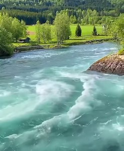 Beautiful 🌲🦋 🌳 | Nature