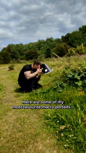 Pete Burford on Instagram: "90mm 🔎 Here are some of my favourite macro portraits, since I have had my hands on the @omsystem.cameras M.zuiko 90mm f3.5 2x PRO macro lens. It's an incredibly sharp lens with great magnification. It's still sharp for single shots at high f numbers and is all shot on my 2017 OM-D E-M1 MK2. All shots within this reel are stacked images which I use a lower f stop for normally around f8. It's a great lens and I'm so grateful to be able to try it out. 60mm who? Of cours