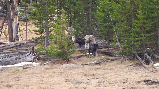 7.3M views · 210K reactions | Wow, wow, wow! We had the most...