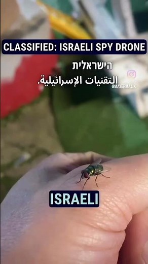 Meet FlyEye™: Israel’s drone shaped like a fly, built for agile and stealthy surveillance missions!