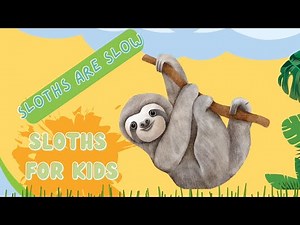 Sloths | Why Sloths are Slow | Fun Facts and Fascinating Insights for Kids