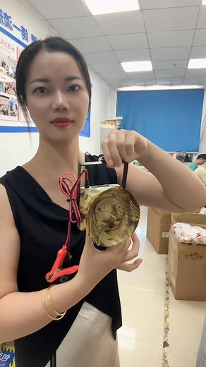 2.3K reactions · 20 shares | CSW-860 80W 210 Songs bird caller for wholesale # Bird Caller factory # bird Caller factory | Yeh Krause | Facebook