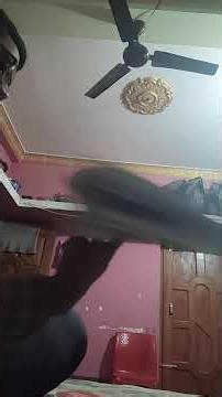 syllabus of d pharma 2024 to 2026