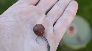 Rolling your own hookbaits allows you to create odd shapes and sizes that can fool wary carp. Check out Mike Tobin's simple step by step guide to customising your own on the bank or at home... | Dynamite Baits