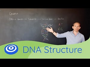 DNA Structure - GCSE science, Biology (9-1)