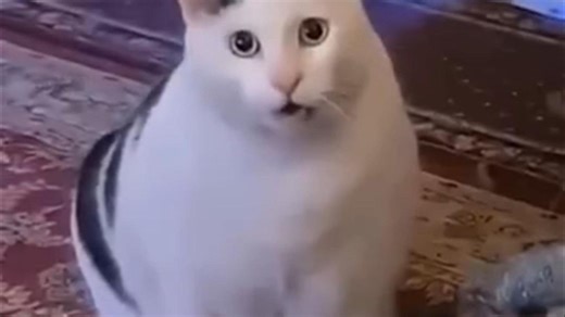 ⚡国外那些沙雕离谱搞笑瞬间⚡668