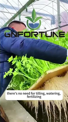 Smart Hydroponic Farming Solutions – Transforming Agriculture with Automation