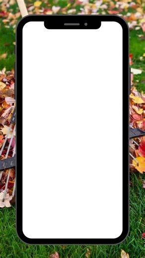 Yard waste bin collection ends the week of October 27–31. But don’t panic — Public Works is coming in for one last clean-up from November 3–7. ✅ Bag your yard waste (compostable paper or clear recycle bags only) ⏰ Have it out by 7:00 a.m. Monday, Nov. 3  No bins. No second chances. | City of Brooks | Facebook