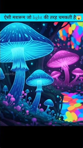 Essi mashroom jo light ki tarah chamakati ha #facts #amazingfacts #shockingfacts