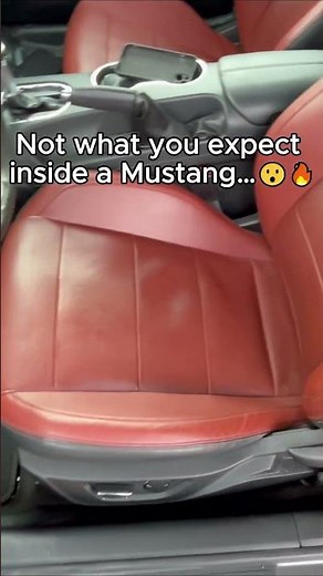 You Need to See This Interior....😳 Ford Mustang GT 5.0 V8