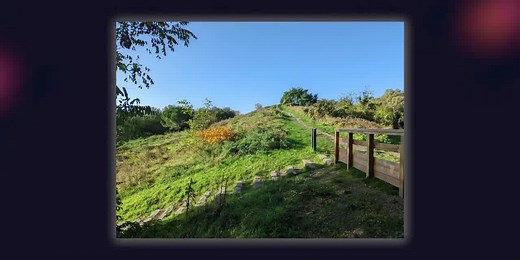 9.7K views · 369 reactions | Et voici le test complet du Google Pixel 6 Pro, le meilleur rapport qualité prix haut de gamme du marché ! Dans cette vidéo nous faisons le tour des nouveautés et vous offrons notre avis sans concession 珞 | Frandroid | Facebook