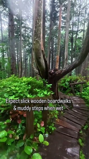 Cape Flattery Trail Guide | Rainy PNW Coastal Hike 🌧️ #WashingtonHikes #pnw