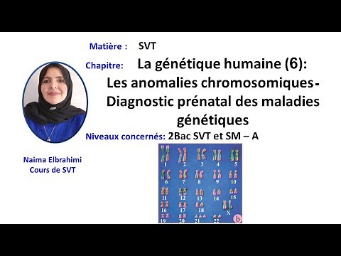Cours SVT 2 Bac Biof: La génétique humaine (6): Les anomalies chromosomiques ـDiagnostic prénatal