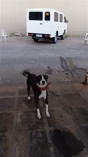 masaya yong ivana namin😘