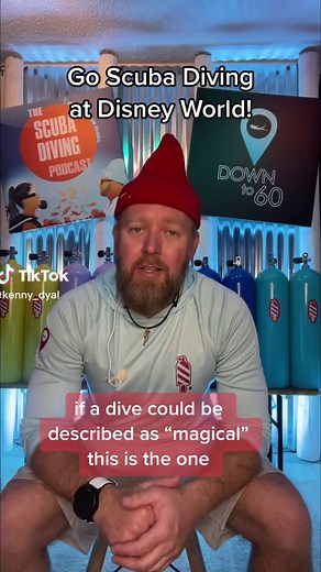 Discover Scuba Diving at Disney World