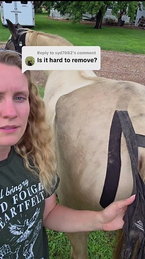 Braiding Horse Hair: Application and Benefits Explained