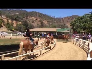 Pony ride in Griffith Park