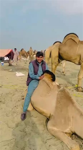 Saram sab 🤗👑🥰 (@saram.braind)’s videos with original sound - 😈𝙌𝙍 𝙀𝘿𝙄𝙏𝙓 🔥🥂