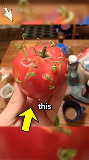 Incredible Rare Photos That Will Leave You Completely Stunned 😵‍💫📷