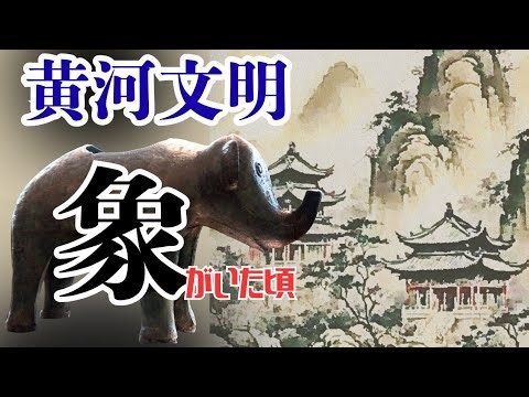 The Surprising Origin of the Character "象"