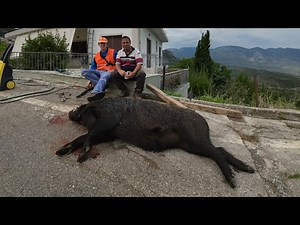 Κυνήγι αγριογούρουνου I Το Τρόπαιο του Κούλι I wild boart hunting