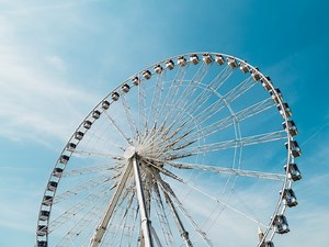 How Does the Wellness Wheel Impact Your Mental Health?