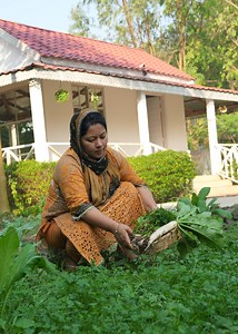 262K views · 6K reactions | Mouthwatering Vegetable Khichuri Cooking | Traditional Deshi Chicken Curry. #easy_village_life | Easy Village Life | Facebook