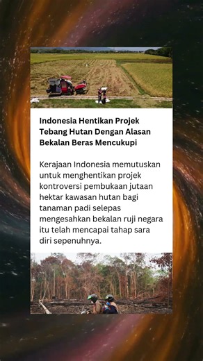 Indonesia baru nak henti pembukaan hutan kontroversial. #news #berita