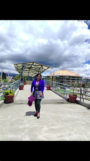 Descubre el mundo de los pandas y su ternura