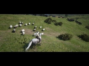 Red Dead Redemption 2 - The Sheep and their shepherd (National Geographic)