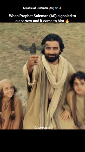 Miracle of Prophet Suleman (AS) ♥️✨ #shorts #history #islamichistory