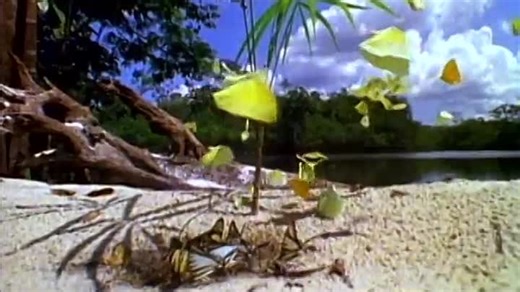 Baby Einstein Classics Season 7 Episode 3 - World of Colors