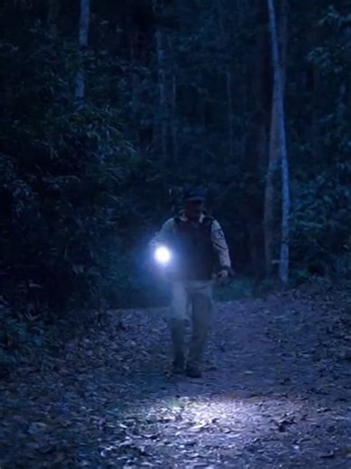 CCTV: Monkey Steals Rifle from Police Officer in Jungle | Unexpected Gunfire Caught on Camera