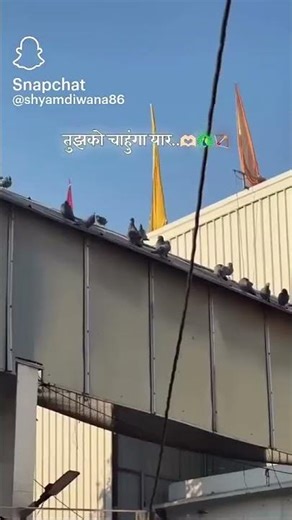 8Par@/khatu shyam Baba ji ❤️❤️❤️❤️❤️😍😍😍☺️☺️☺️🦚🦚🙏🙏🙏🫶🫶